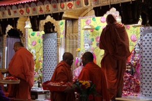 IMG_8292.JPG